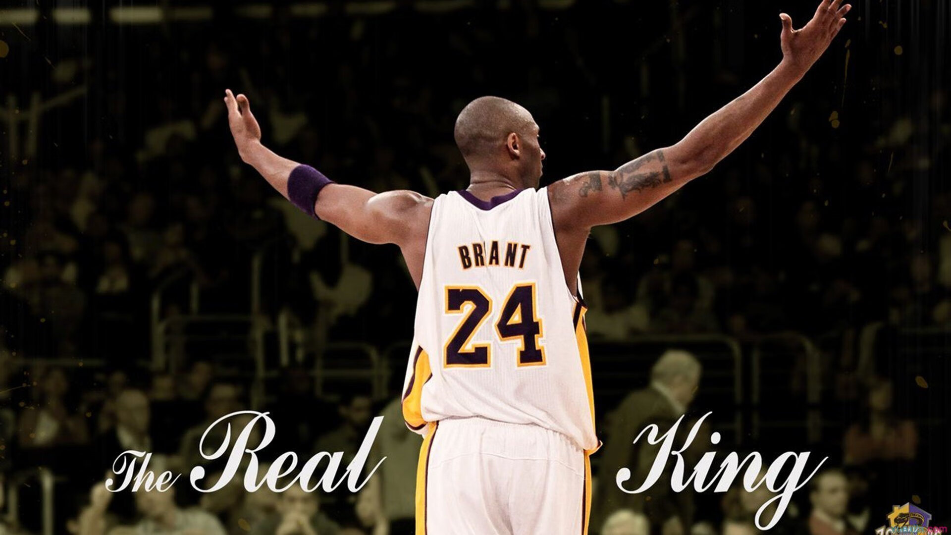 乐鱼电竞在线平台-年轻一代球员心态成熟逐步承担关键责任，优秀年轻球员